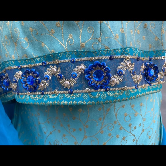 Bollywood Costume - Picture 4 of 7